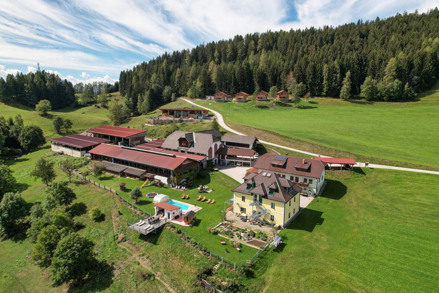 Erlebnisbauernhof Steinerhof Liebenfels Exterior foto